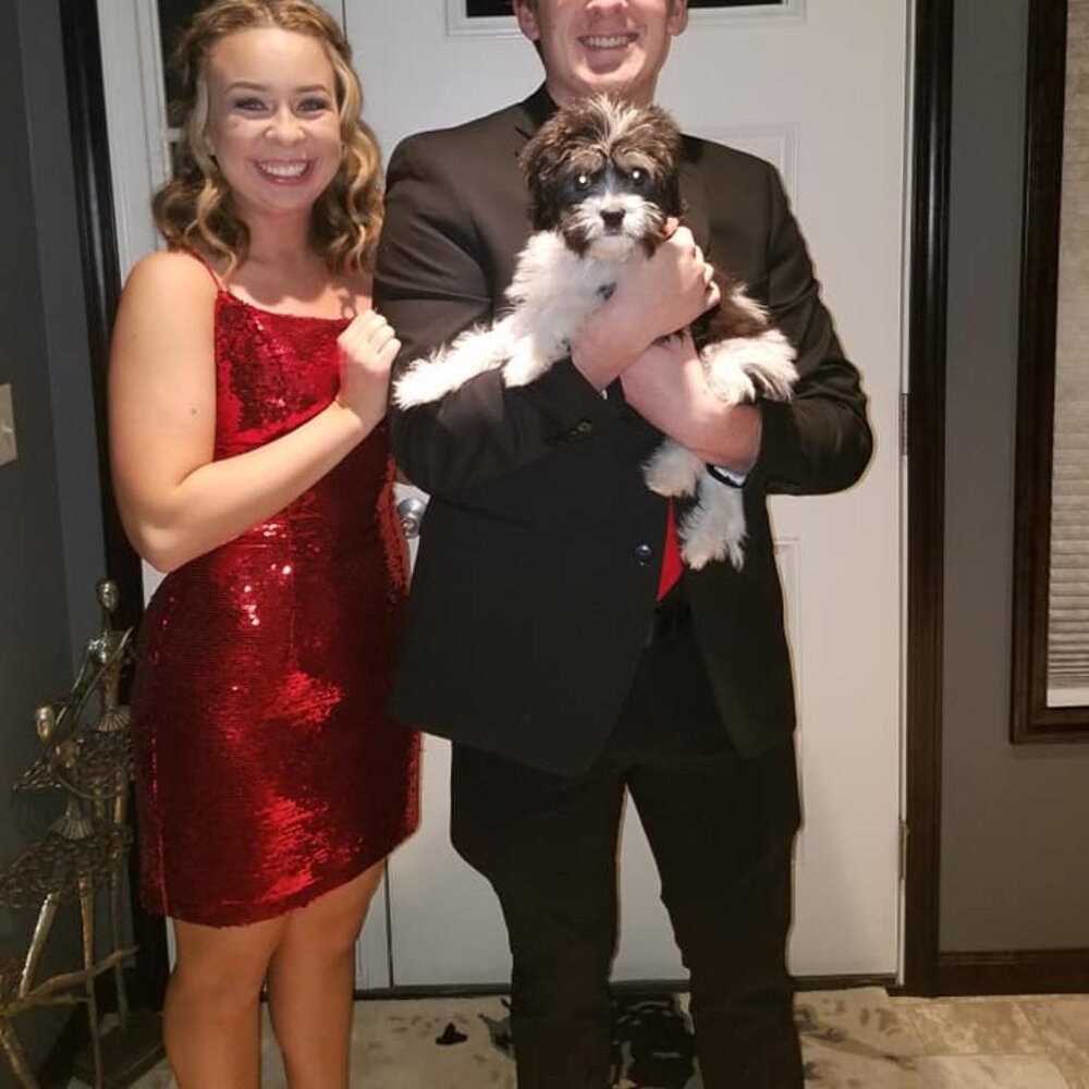 Sherri Hill Red Sequin Dress Cocktail Dress